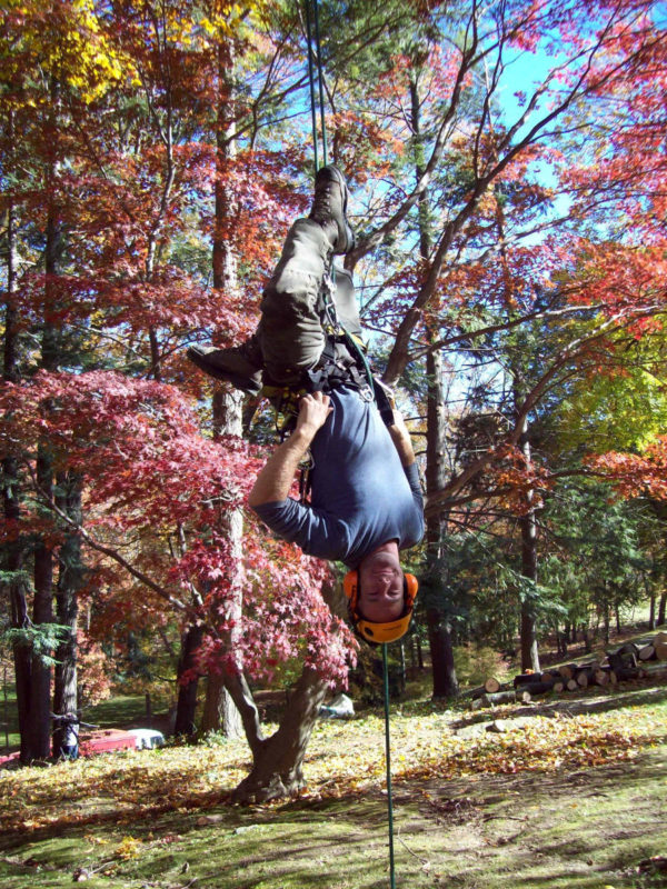 Subcontract Tree Climber Subcontract Climbing - Sawing High Climbers